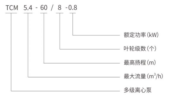 泰福泵業(yè)TCM多級(jí)離心泵型號(hào)說明